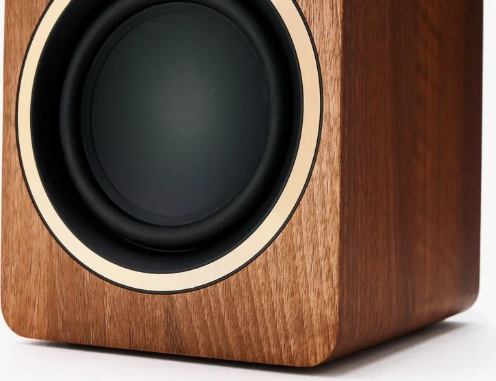 Argon Audio Fenris Active A5, vue 4