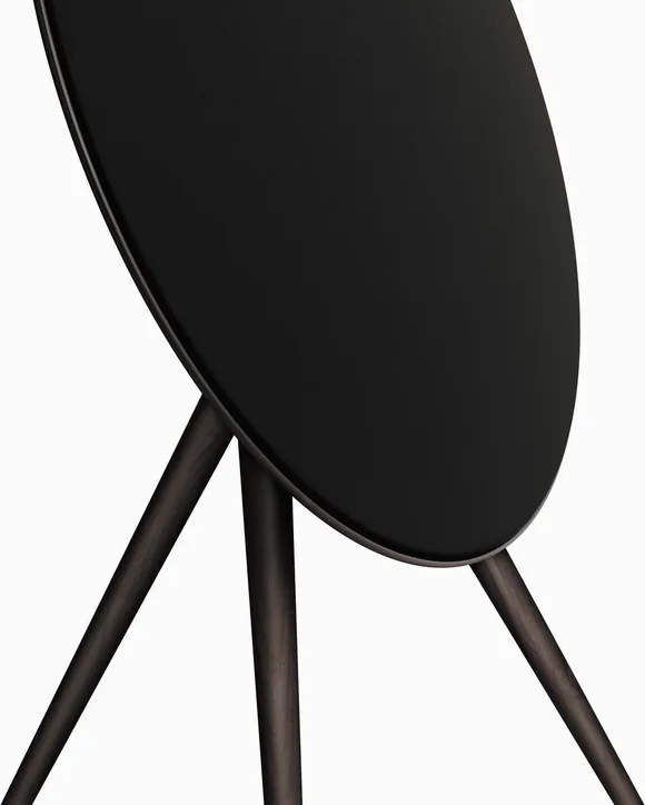 Bang & Olufsen Beosound A9 5th Gen, vue 2
