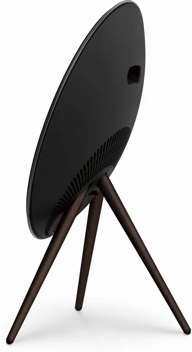 Bang & Olufsen Beosound A9 5th Gen, vue 4