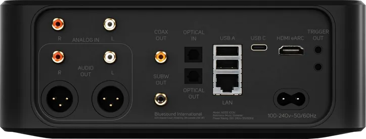 Bluesound Node Icon, vue 2