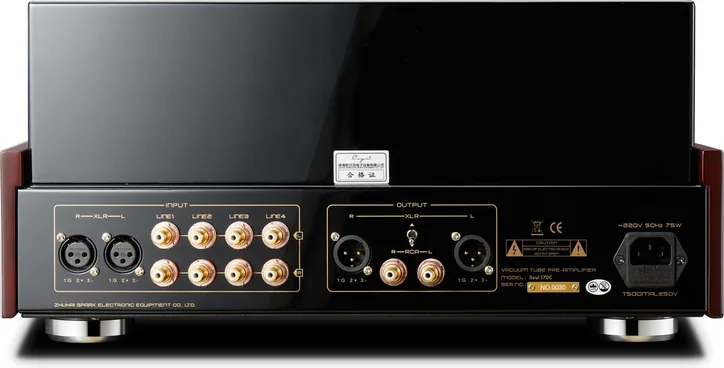 Cayin Soul 170C, vue 4
