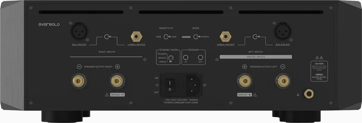 EverSolo AMP-F10, vue 2