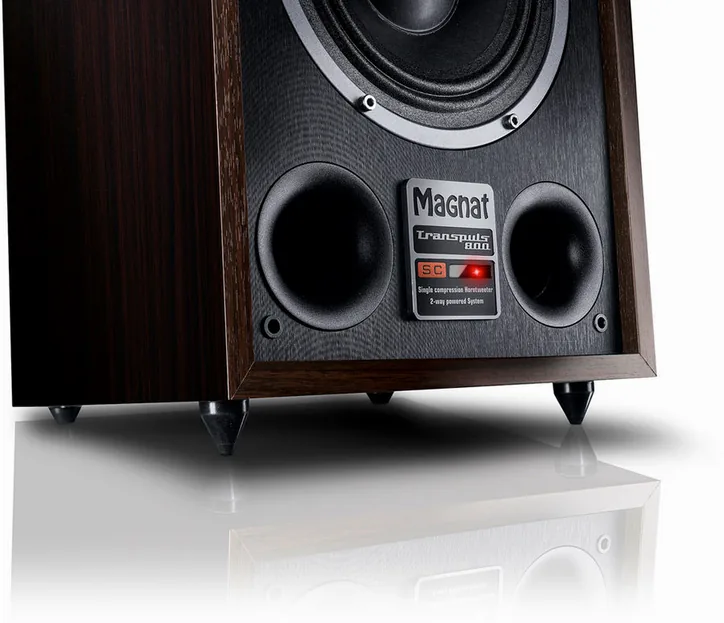 Magnat Transpuls 800A, vue 3