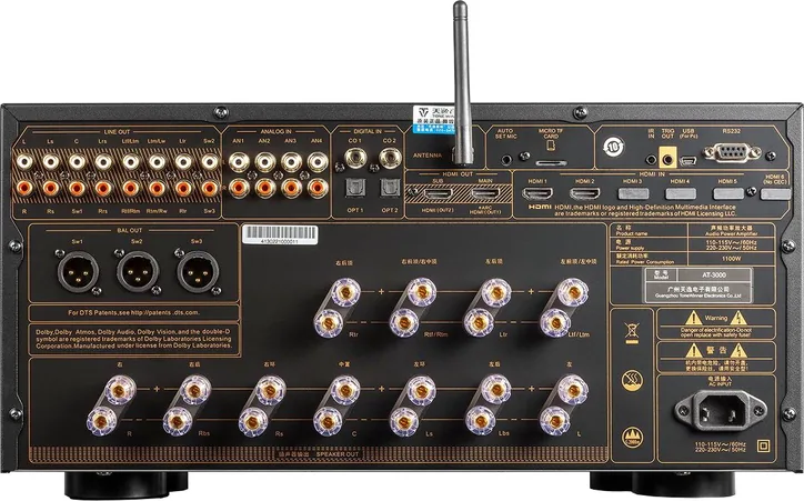 Tonewinner AT-3000, vue 2